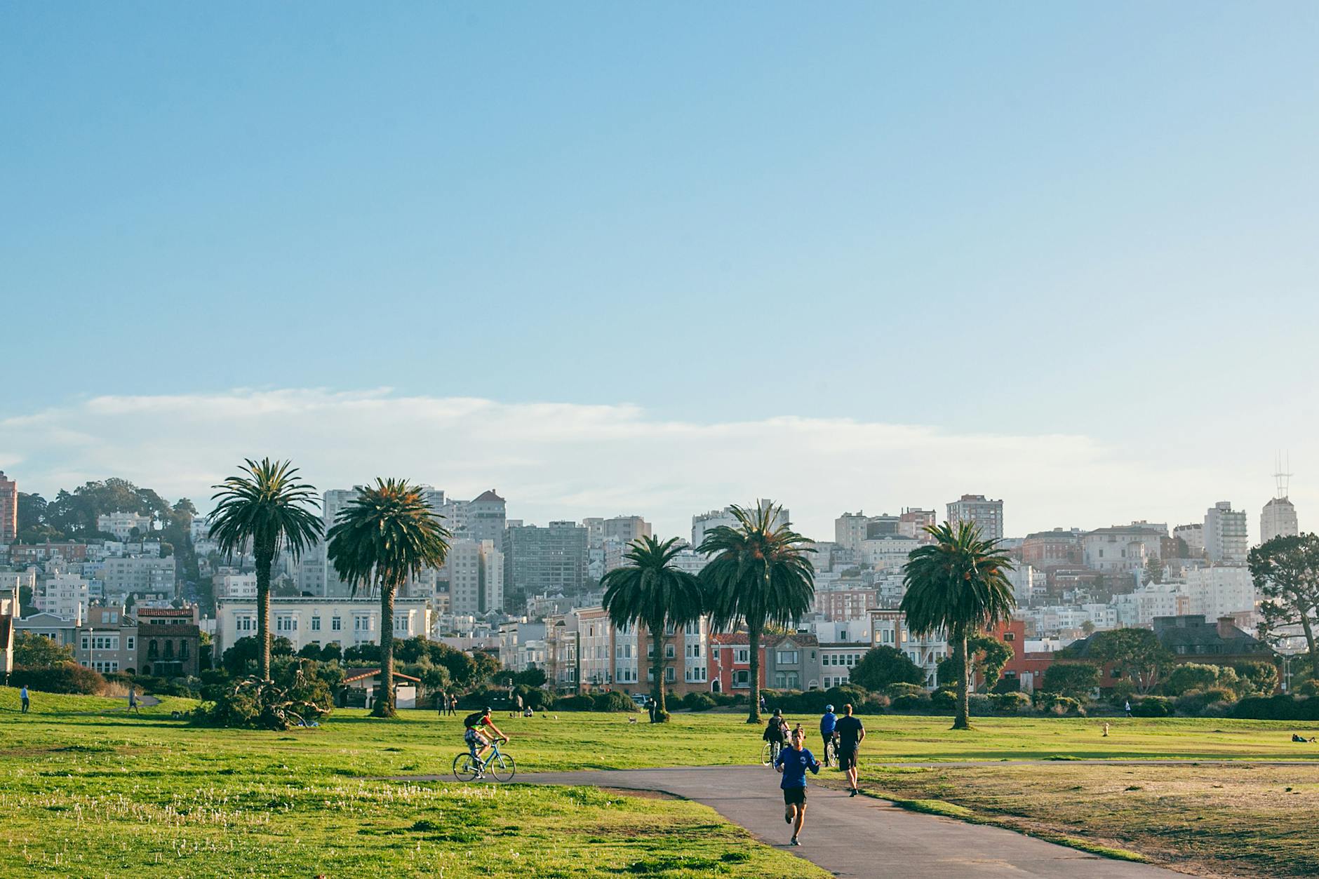 people jogging and riding bicycle along walkway