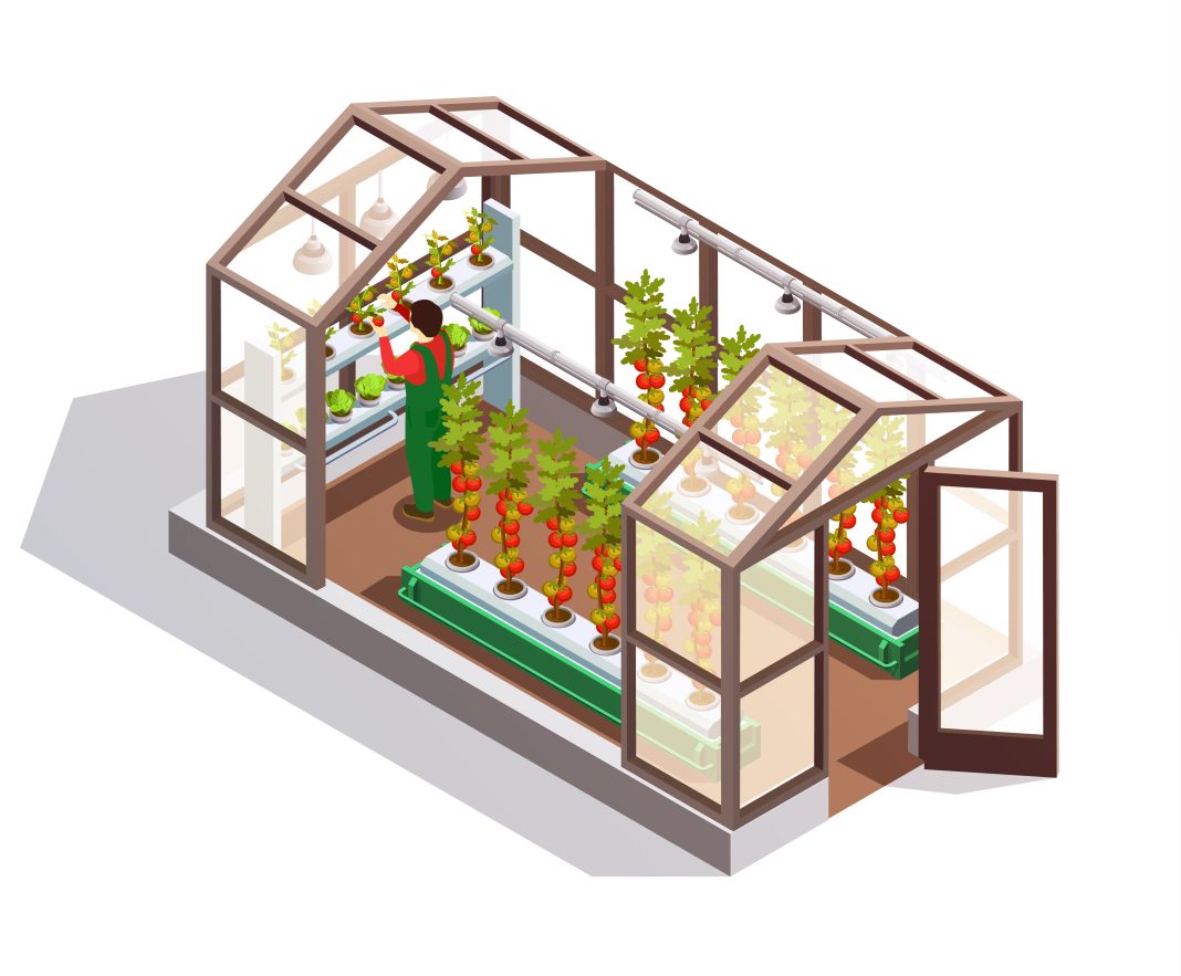 Greenhouse Facts that You Probably Didn't Know | Greener Ideal