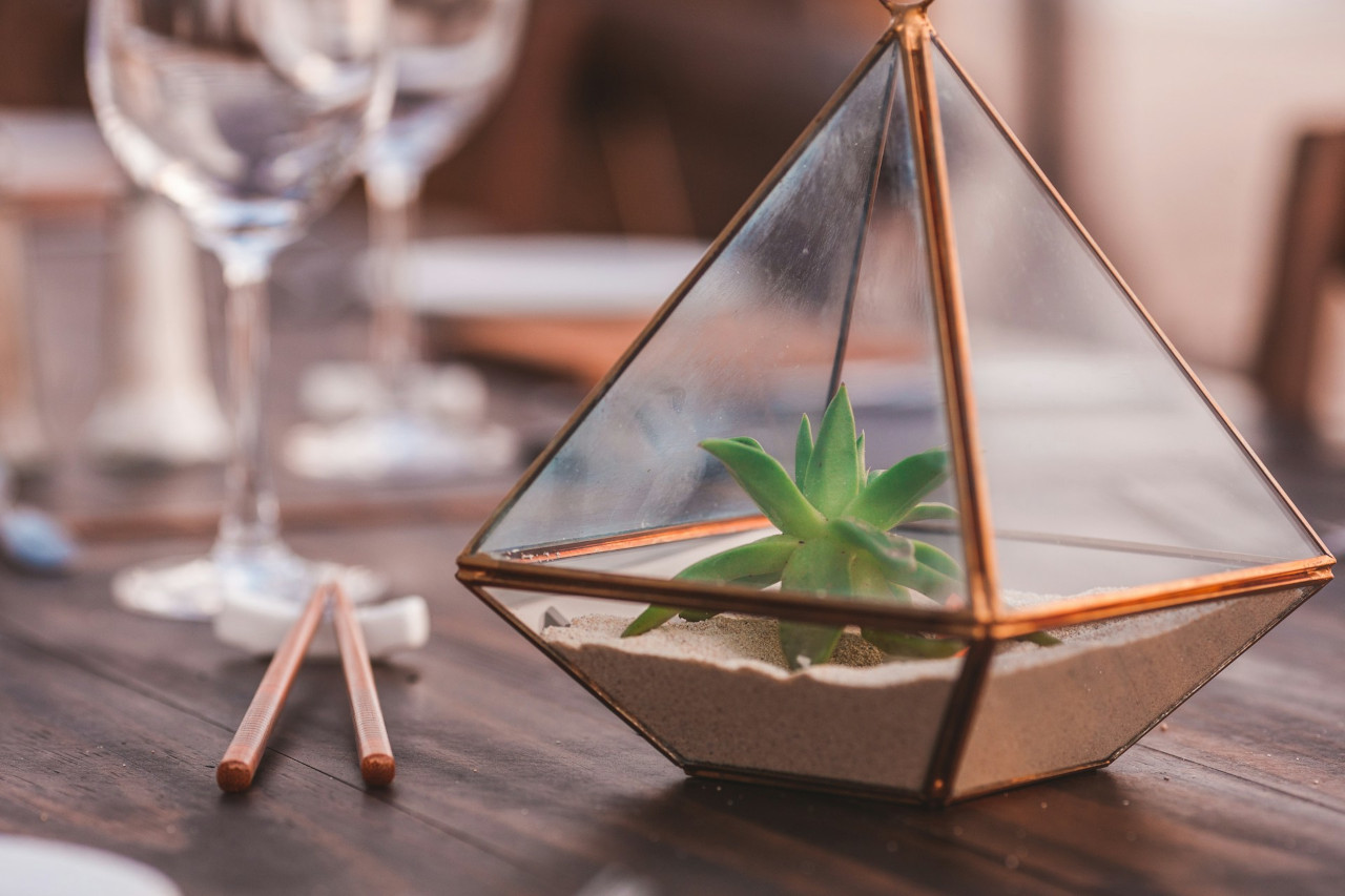 eco-friendly gifts for gardeners