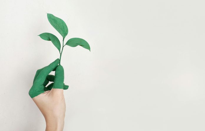 hand partially painted green holding a green plant with 3 leaves